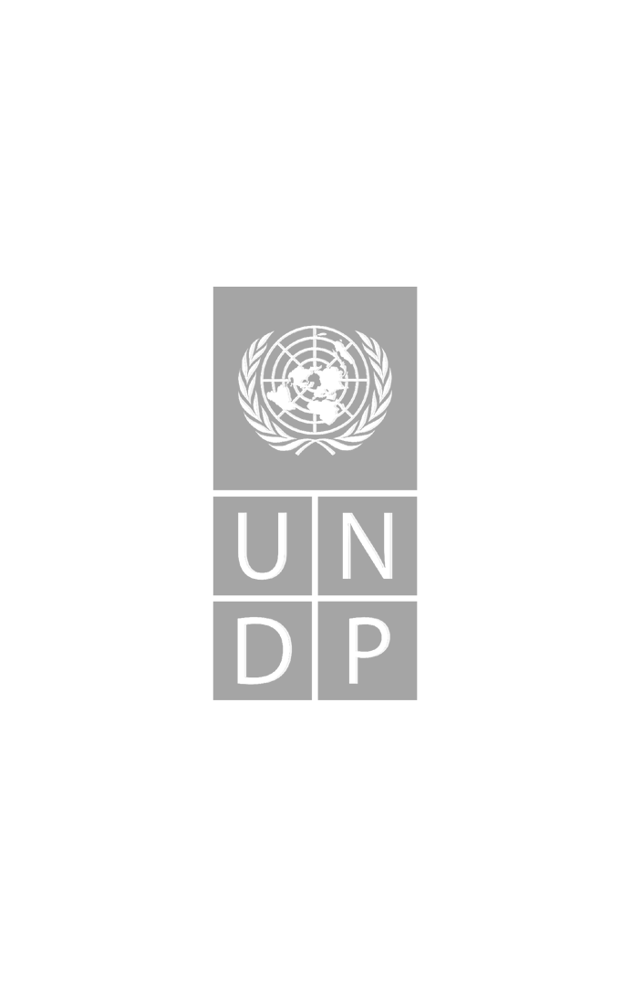 UNDP