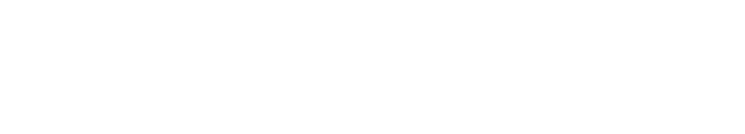 Standard Insights_ White logo