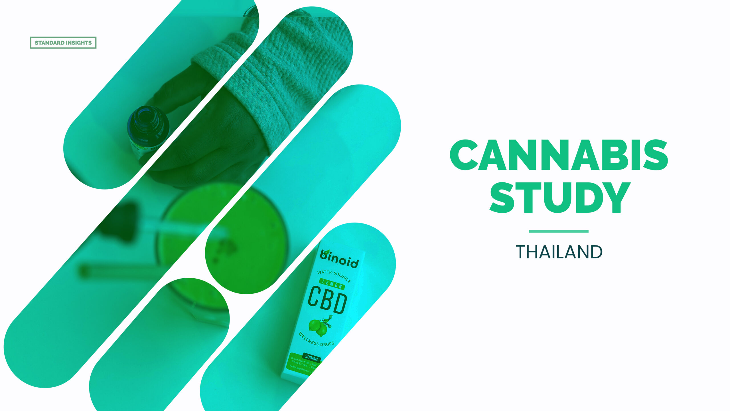 Cannabis In Thailand - Market Research - Standard Insights