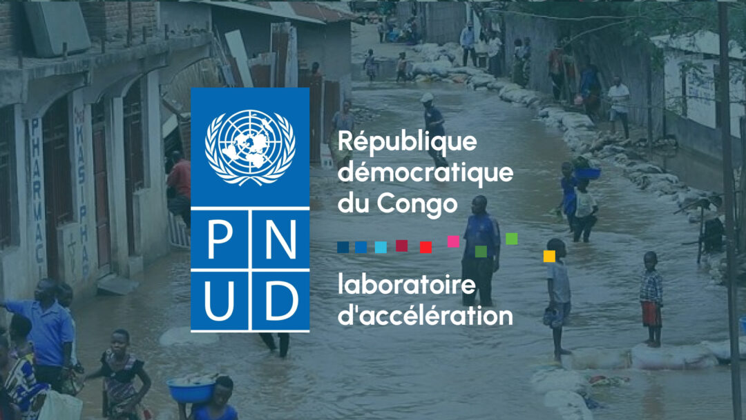 UNDP DR Congo: Case study - Standard Insights