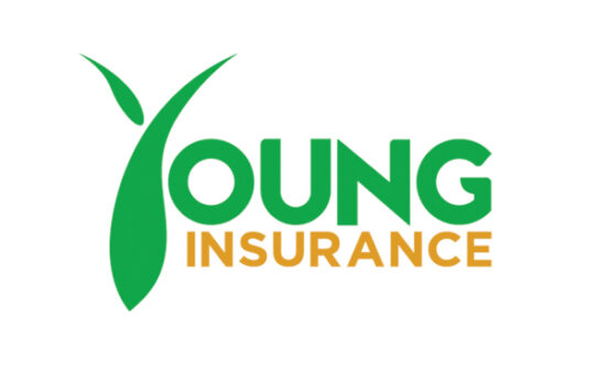 Young Insurance Retail Insurance Myanmar