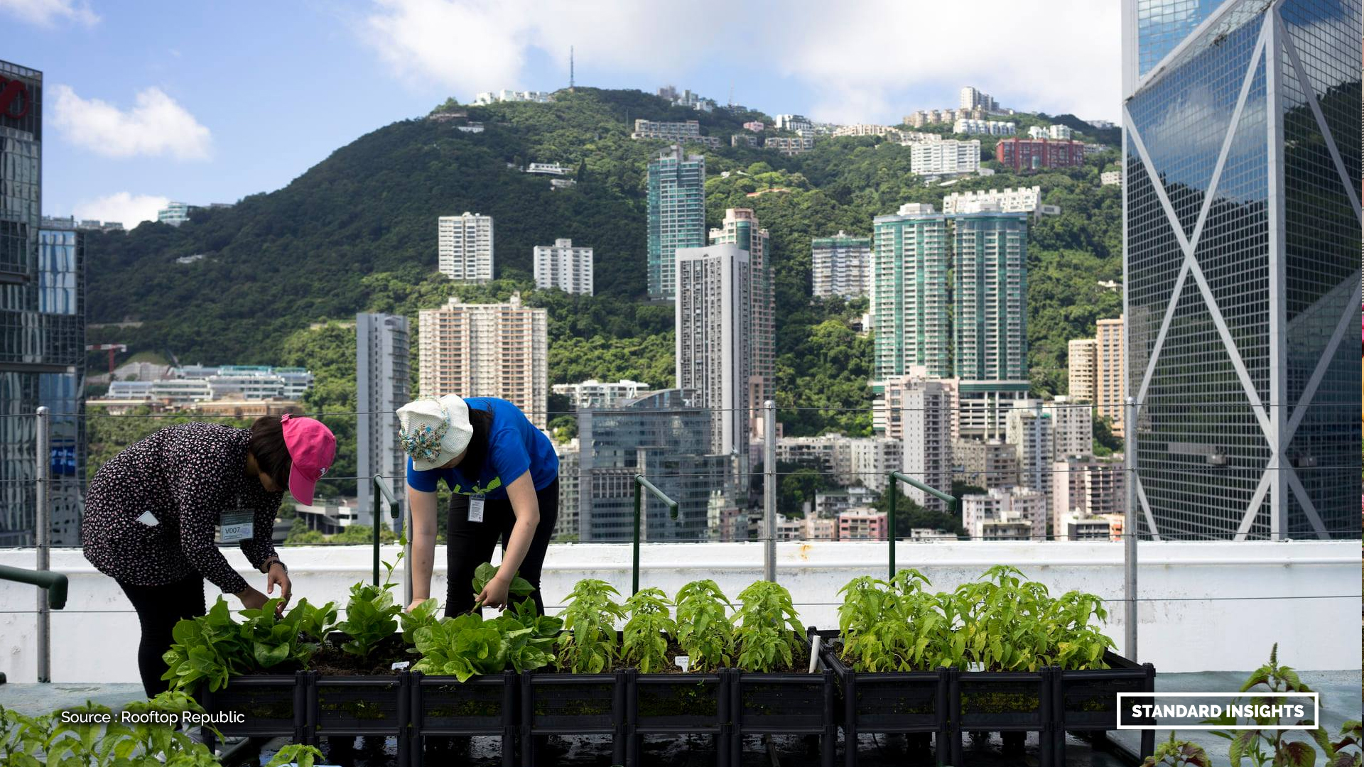 Two people attending to plants atop a building in Hong Kong