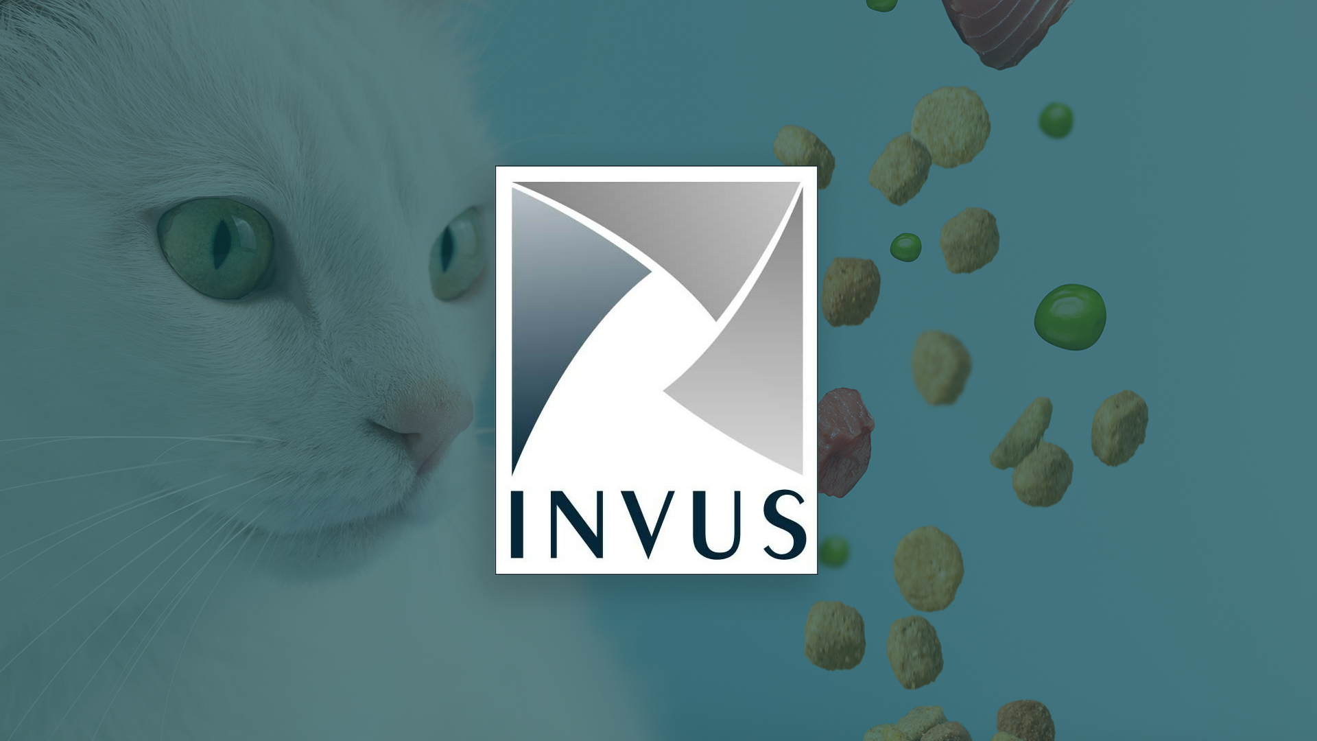 China Cat Food Market