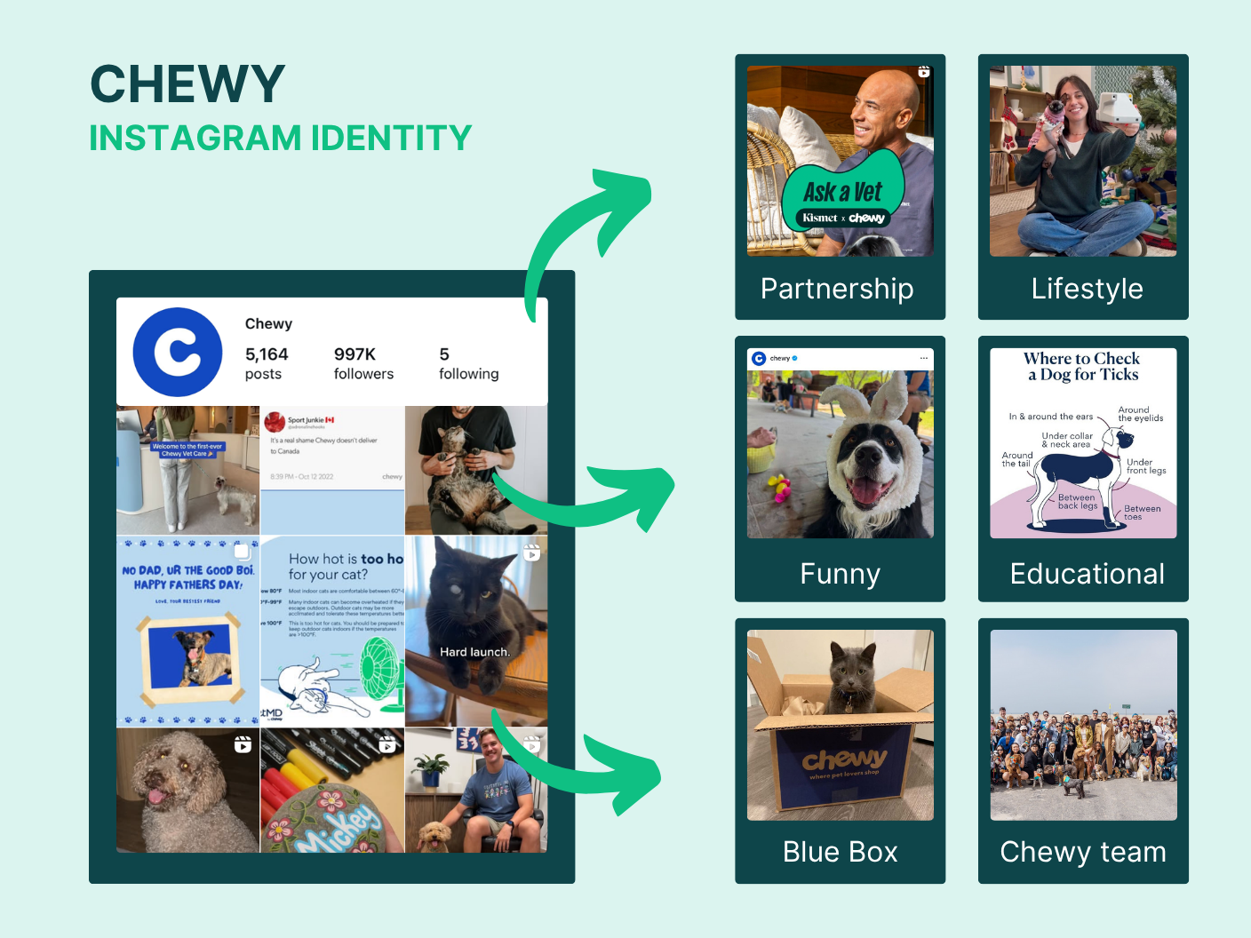 Chewy Instagram identity examples, showing different content categories such as partnership, lifestyle, funny, educational, blue box, and the Chewy team, illustrating Chewy’s brand personality and engagement on social media.