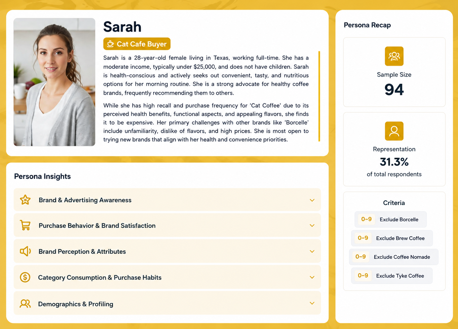 Demographic and behavioral buyer profile